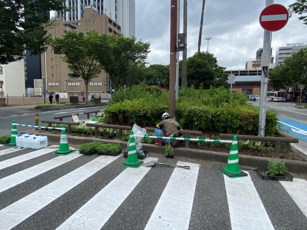 お花を植える様子